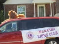 Lions pics 2012 051