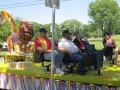 Lions pics 2012 054