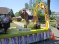 Lions pics 2012 059
