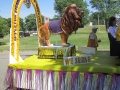 Lions pics 2012 060
