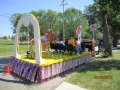 Lions pics 2012 061