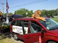 Lions pics 2012 072